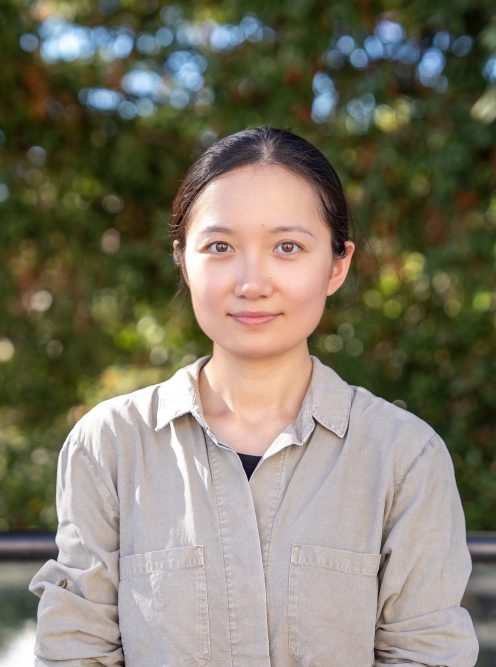Siwen Deng Avatar